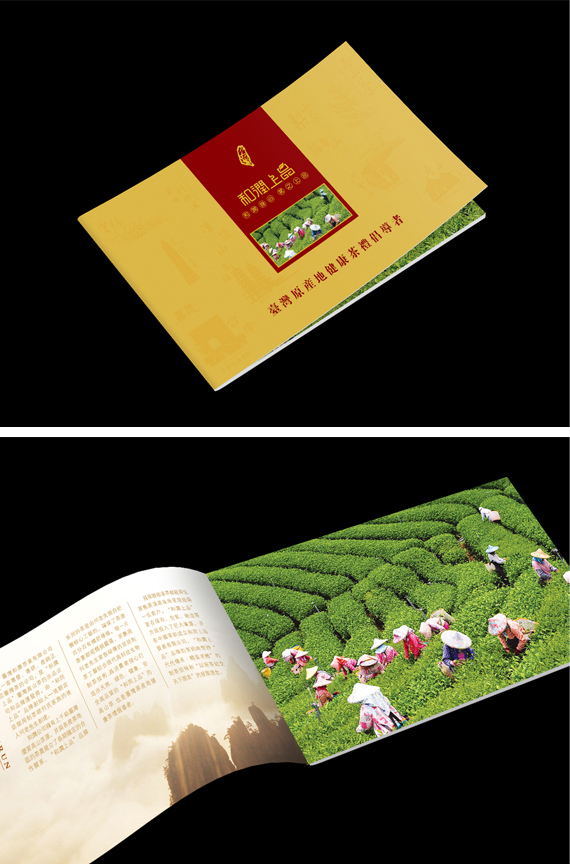  深圳畫冊設(shè)計(jì)