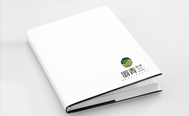 深圳畫(huà)冊(cè)設(shè)計(jì)